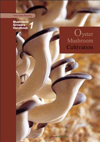 Oyster mushroom cultivation